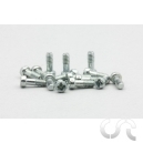 Vis m&eacute;trique courtes x15