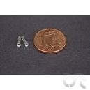 Echappement Chrom&eacute; (D1/L6) x2