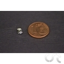 Bouchon d'essence Chrom&eacute; (D3.5) x2