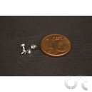 Ecrous Chrom&eacute;s (D2.5) x4