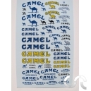 Planche d&eacute;calque: Camel