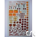 Planche d&eacute;calque: Ancien Shell