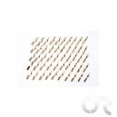 Clips d'Alimentation Carrera Exclusiv x50