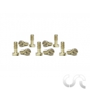 Vis M&eacute;triques courtes " t&ecirc;te &eacute;troite"x10